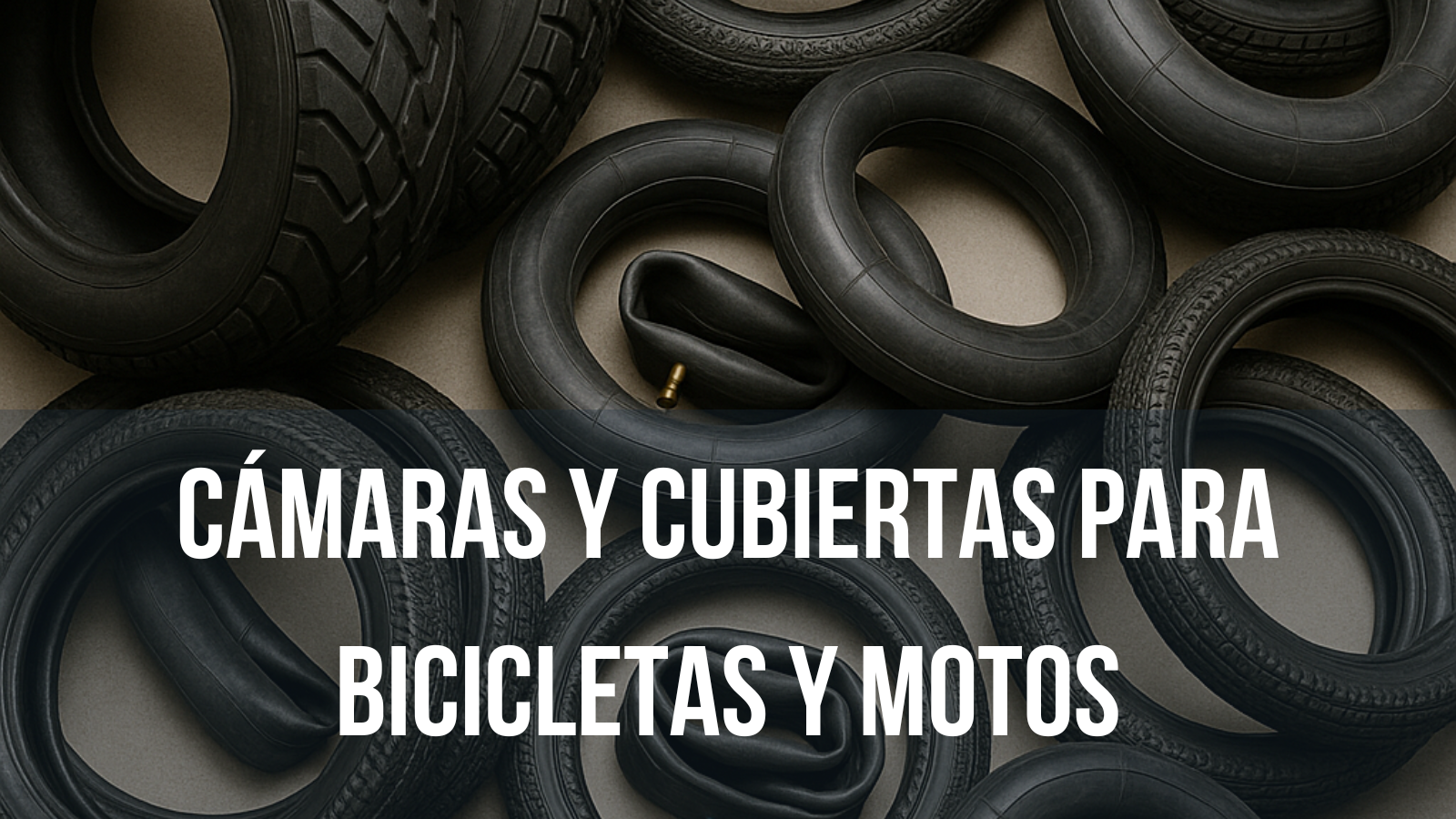 Descripción foto 1